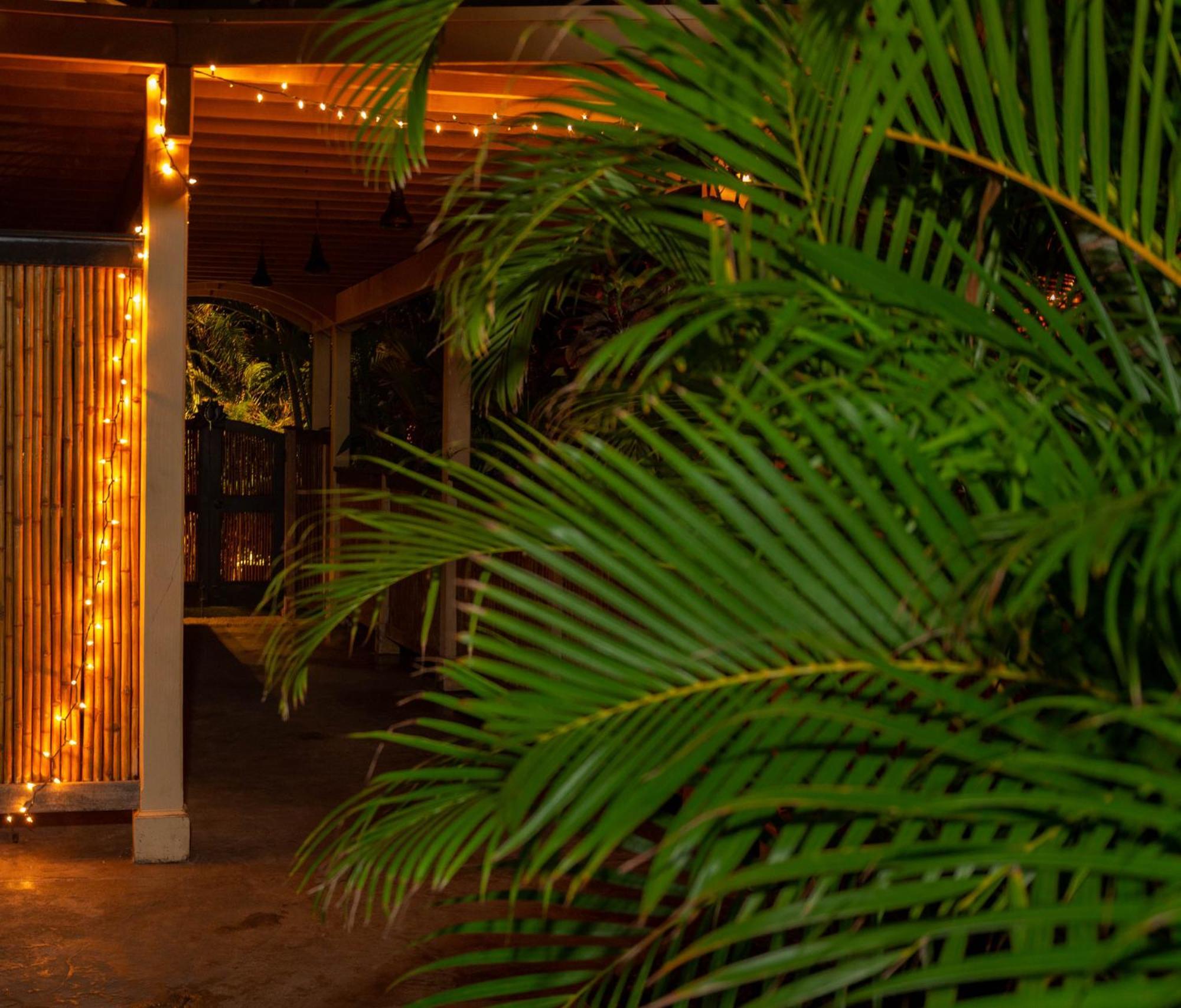 Plumeria Suite, 2-Bedrooms, Sleeps 6, Pool & Bbq, Pre-Renovation Summer Sale Kihei Kültér fotó